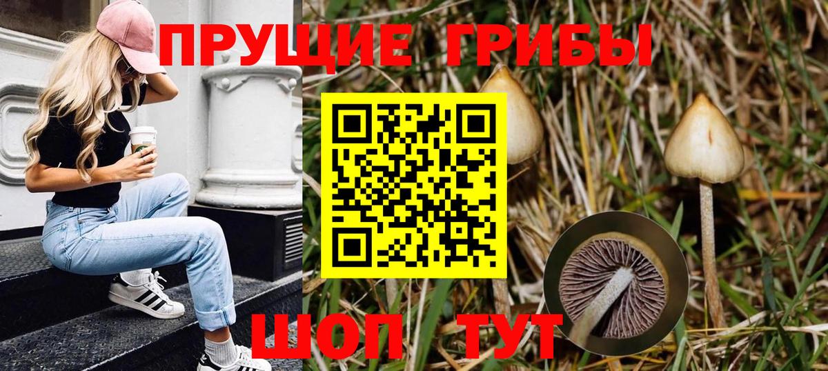 Галлюциногенные грибы Magic Shrooms  Псилоцибиновые грибы Magic Shrooms  Аксай  Вход с VPN 