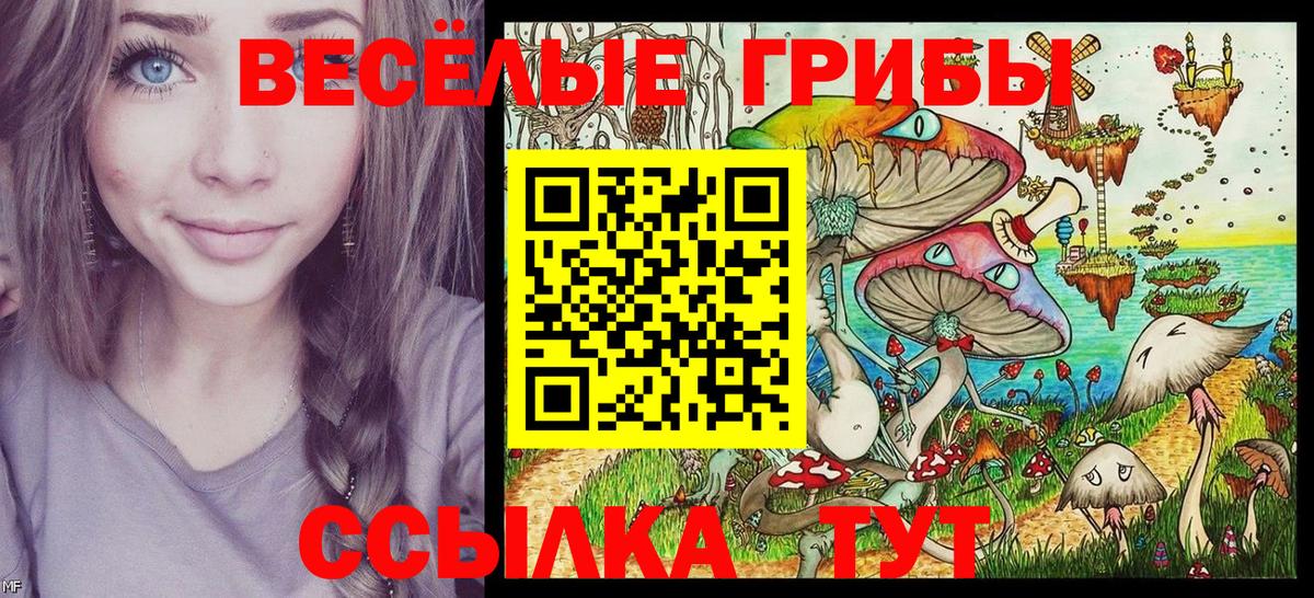 Псилоцибиновые грибы Cubensis Аксай